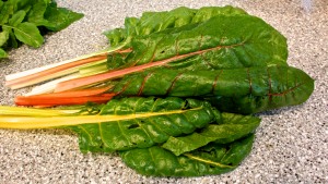 The chard is also growing like gangbusters.