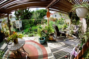 Love what the fisheye does to the view out our patio door. Chicken coop to the left, veggie garden to the right.